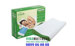 Gối Vinapillow Memory Foam Gel Siny B